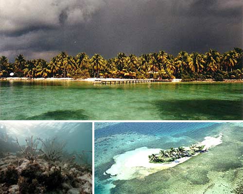 Threatened Islands