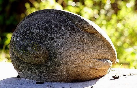 Self Growing Stones