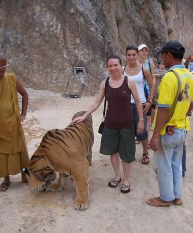 The Tiger Temple