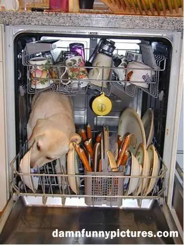 Dishwasher Safe?