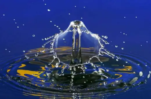 Water Drops Photo Gallery